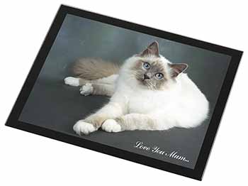 Birman Cat 