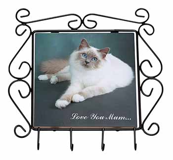 Birman Cat 