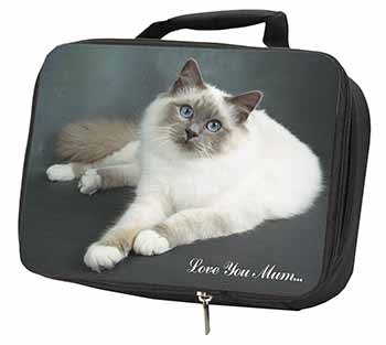 Birman Cat 