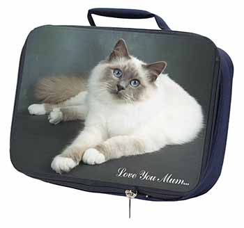 Birman Cat 