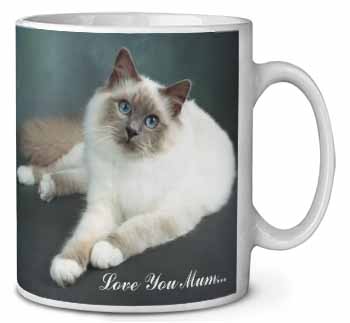 Birman Cat 