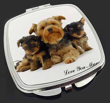 Yorkshire Terriers 