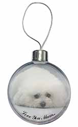 Bichon Frise Dog 