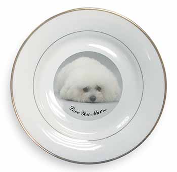 Bichon Frise Dog 