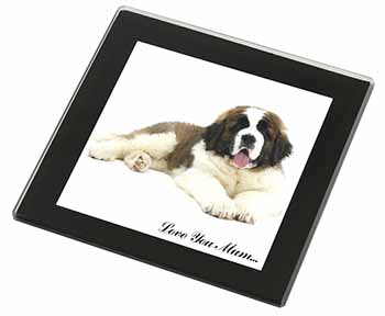 Saint Bernard 