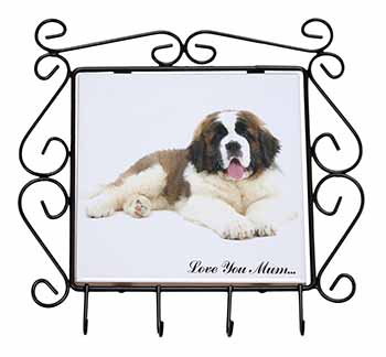 Saint Bernard 