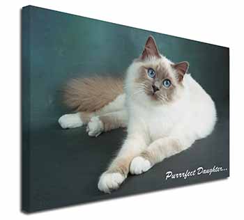 Birman Cat 