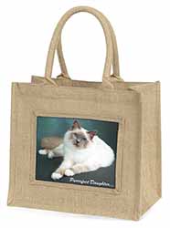 Birman Cat 