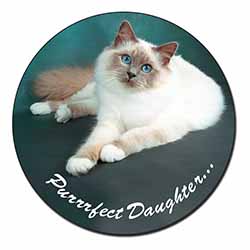 Birman Cat 