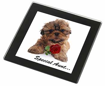 Shih Tzu Dog 