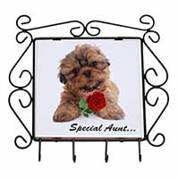 Shih Tzu Dog 