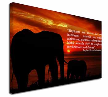 Elephants & Earth Quote Canvas X-Large 30"x20" Wall Art Print