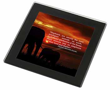 Elephants & Earth Quote Black Rim High Quality Glass Coaster