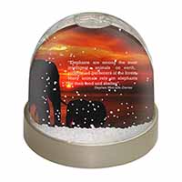 Elephants & Earth Quote Snow Globe Photo Waterball