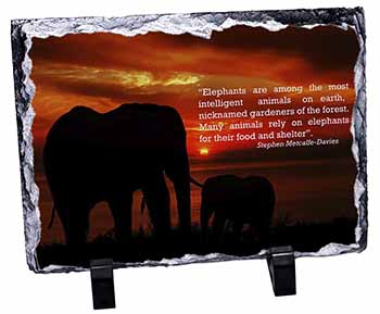 Elephants & Earth Quote, Stunning Photo Slate