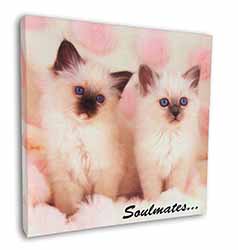 Birman Kittens 