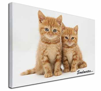 Ginger Kittens 