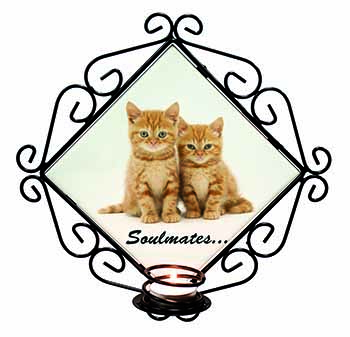 Ginger Kittens 