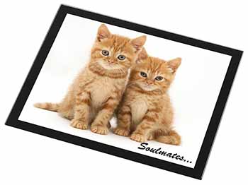 Ginger Kittens 