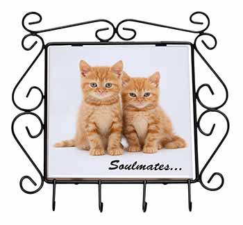 Ginger Kittens 