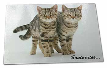 Large Glass Cutting Chopping Board Brown Tabby Cats 