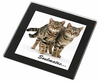 Brown Tabby Cats 