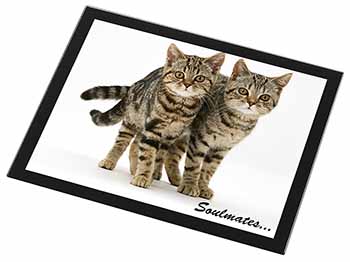 Brown Tabby Cats 