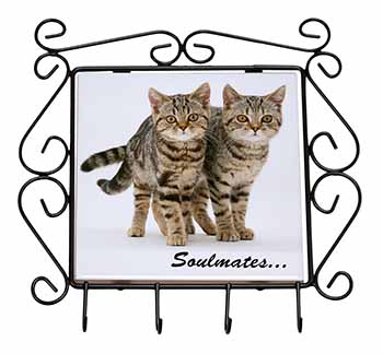 Brown Tabby Cats 