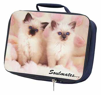 Birman Kittens 