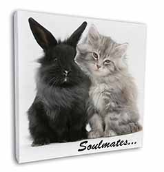 Rabbit and Kitten 