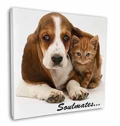 Basset Hound and Kitten 