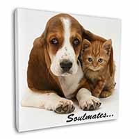 Basset Hound and Kitten 