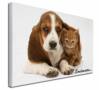 Basset Hound and Kitten 