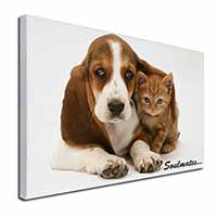 Basset Hound and Kitten 