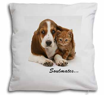 Basset Hound and Kitten 