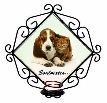 Basset Hound and Kitten 