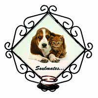 Basset Hound and Kitten 