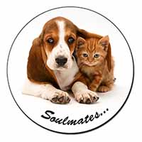 Basset Hound and Kitten 