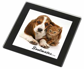 Basset Hound and Kitten 