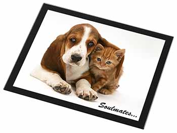 Basset Hound and Kitten 