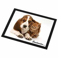 Basset Hound and Kitten 