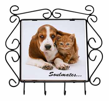 Basset Hound and Kitten 