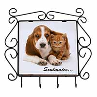 Basset Hound and Kitten 