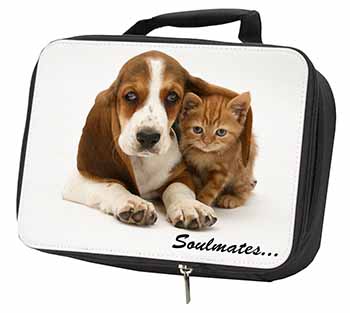 Basset Hound and Kitten 