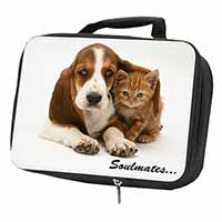 Basset Hound and Kitten 