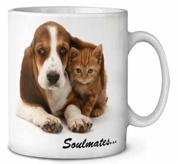 Basset Hound and Kitten 