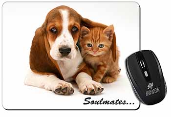 Basset Hound and Kitten 