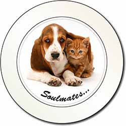 Basset Hound and Kitten 