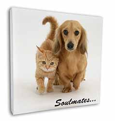 Dachshund and Kitten 