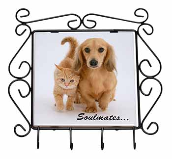 Dachshund and Kitten 